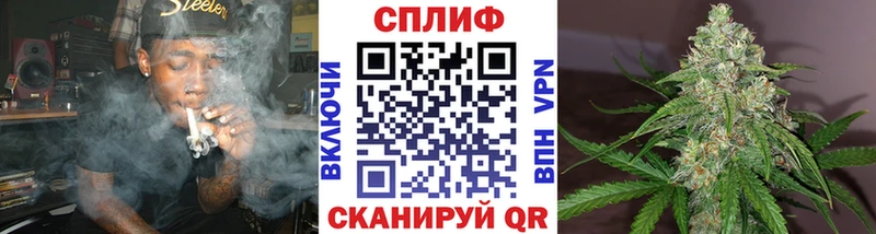 где найти   Пионерский  Бошки марихуана MAZAR 